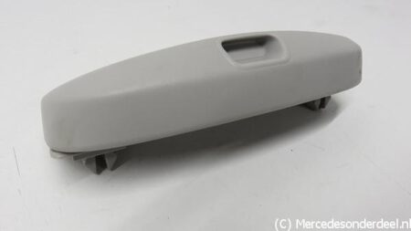 A1698100041 1698100041  W245 Brillen opberg vak hemel