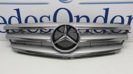 A1698800883 1698800883 W245 B-klasse Gril